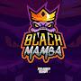Black Mamba WR