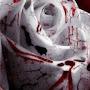 Blood_lines