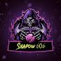 SHADOW 606