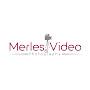 Merles video and photography