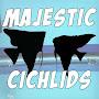 @majesticcichlids1630