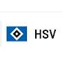 @NurDerHSV602