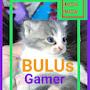 @bulusgamer8843