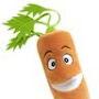 CarrotTech