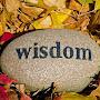 @Wisdomwise-pe5wb