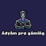 Adyam pro gaming