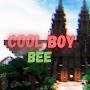 Coolboy Bee