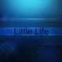 Little Life