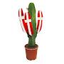 DanishCactus