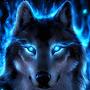 wolf777 wulf