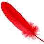 Red Feather