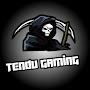 Tendu Gaming