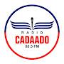 @radiocadaado6866