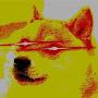 *Triggered Doge*