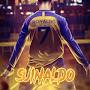 Suinaldo