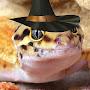 WitchingGecko