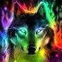 Rainbow Wolf