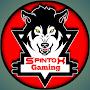 Spintox Gaming