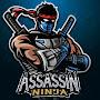 Assassin Ninja