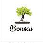 bonsai vlog