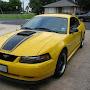 Screamin Yellow Mach