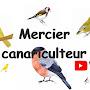 @merciercanariculteur6757