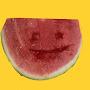 Mr melon