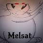 @melsat9898