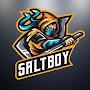 SaltBoy