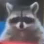 The_Raccoon_Dude