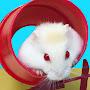 Life Of Pets HamHam