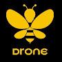 Drone The Bee