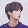 JIN김석진