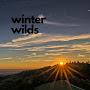 @Winterwilds