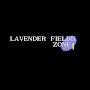 Lavender Fields Gameplays