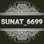 SUNAT_6699