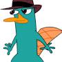 @perrytheplatypus207