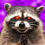 Evil Raccoon