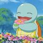 Delightful Squirtle