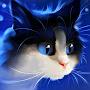 Bluefy Cat