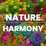 @natureharmonytv