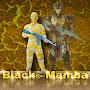 Black Mamba Gaming