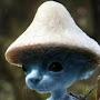 smurfcat