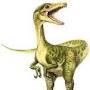 @happycompsognathus4411