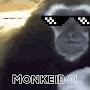 MonkeiBoi