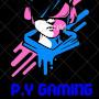 P.Y Gaming