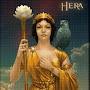 HERA OMEGA