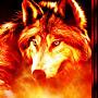 Loup Fire