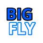 Big Fly