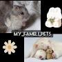 My_fameli_ Pets